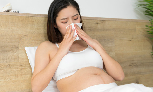 孕妇如何吃红枣最补血